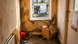 Wolverhampton landlord begins repairs after mum-of-seven highlights mould and eviction woes